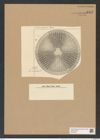 Actinoptychus bismarckii A. Schm. (de-Toni-Nr.: Genus 227, Species 5597) Zeichnungen Sammlung Grunow Nr. 9487 (NHMW-BOT-W0379462)